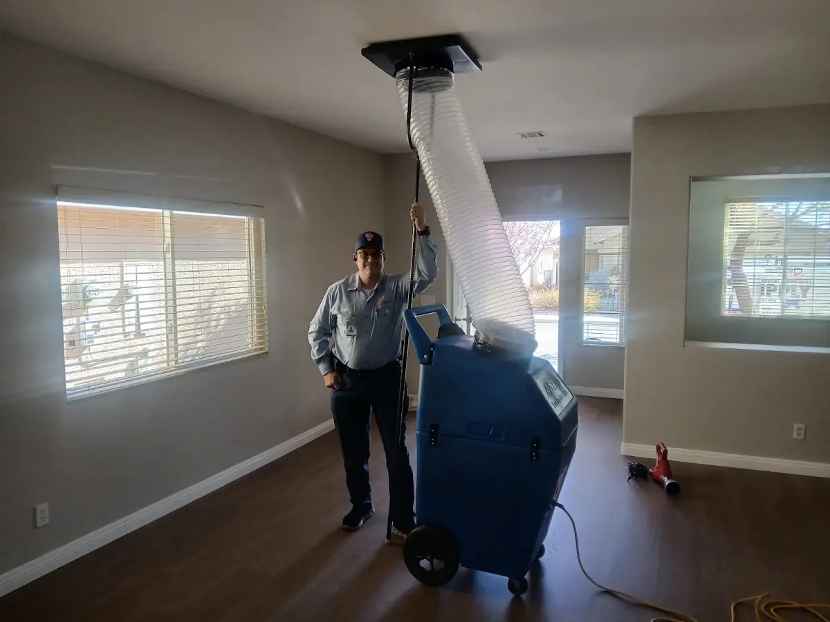 Professional Dryer Vent Cleaning work inside a Olean home